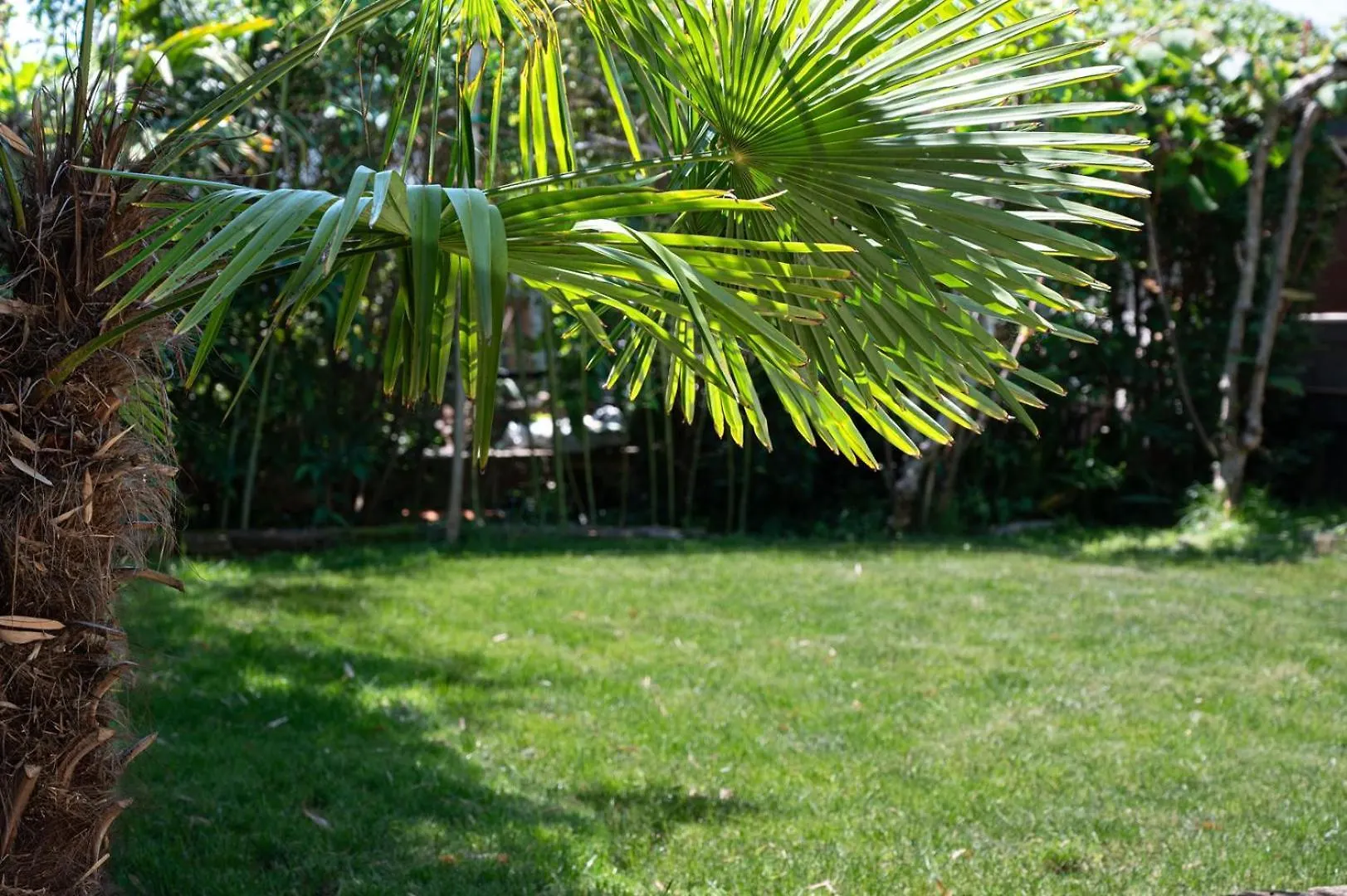 Holiday House With Garden 